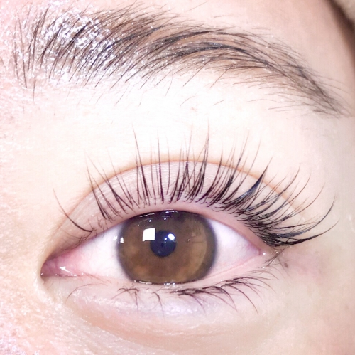 アンドヘルシー/シングルエクステ