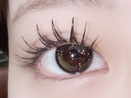 バインドロック×パリエクorアンドヘルシー