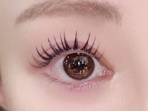 フラットラッシュ100本×アンドヘルシー