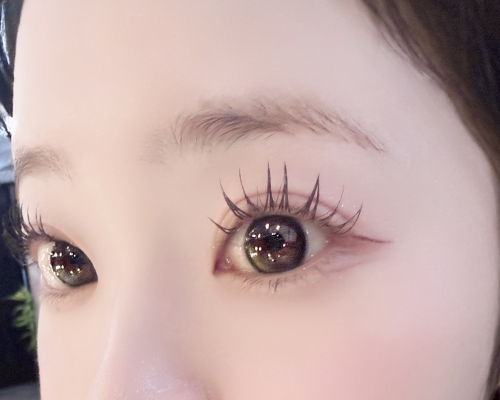 バインドロック×パリエクorアンドヘルシー