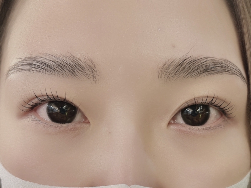 ハリウッドブロウリフト×パリジェンヌ