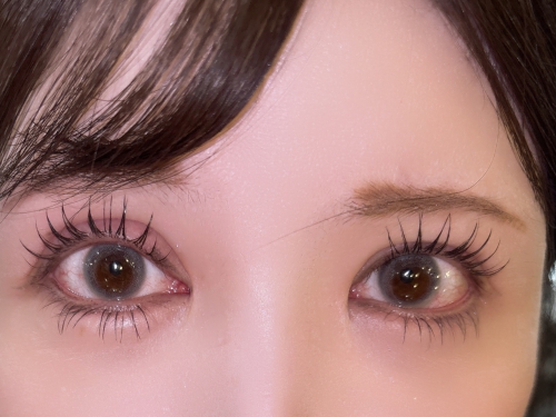 細めバインドロック×パリエクorアンドヘルシー