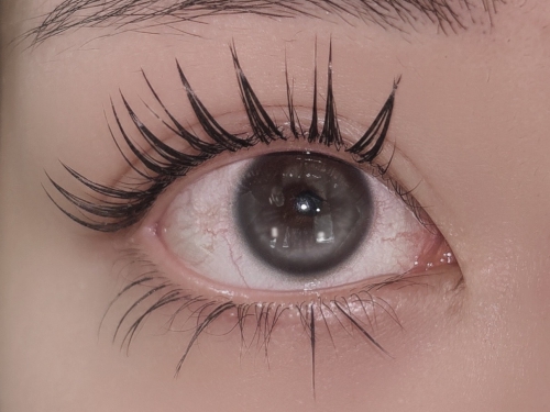 アンドヘルシー×フラット120本