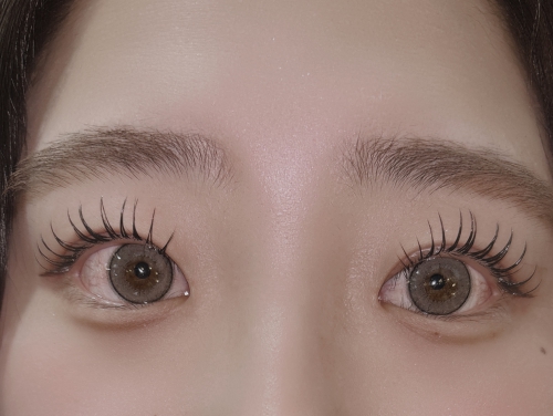 バインドロック50束/パリエク