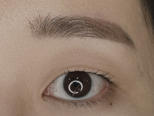 美眉スタイリング×パリジェンヌ