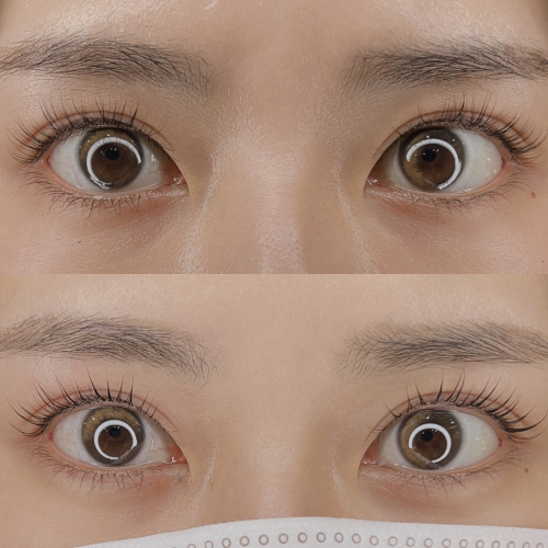 パリジェンヌラッシュリフト