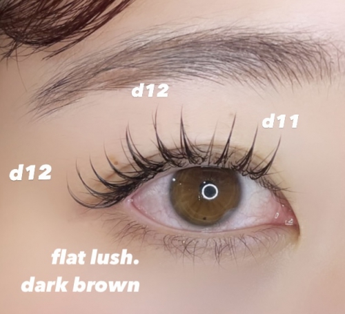 フラットラッシュ