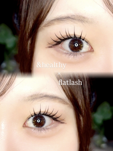 アンドヘルシー×フラットラッシュ