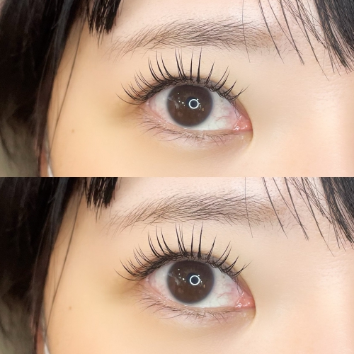 フラットラッシュ120本