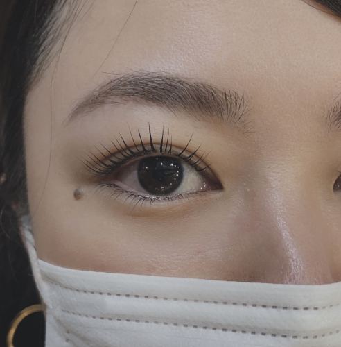 パリジェンヌラッシュリフト上下