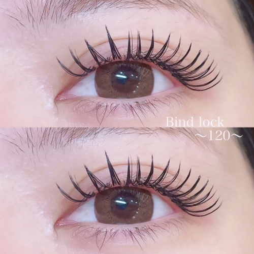 バインドロック120束
