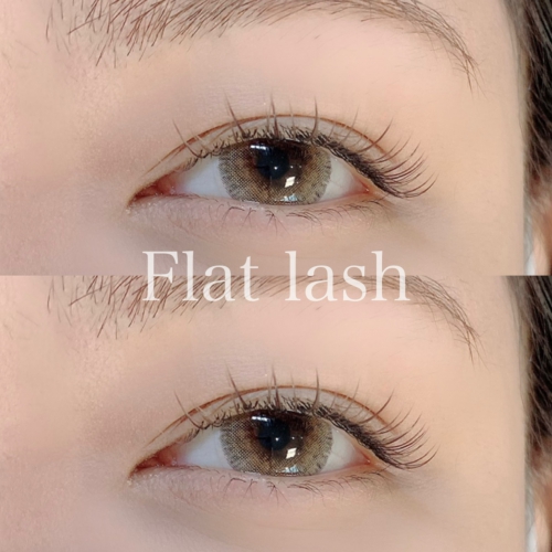 カラーフラット