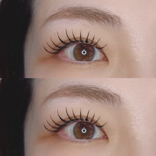 フラットラッシュ140本