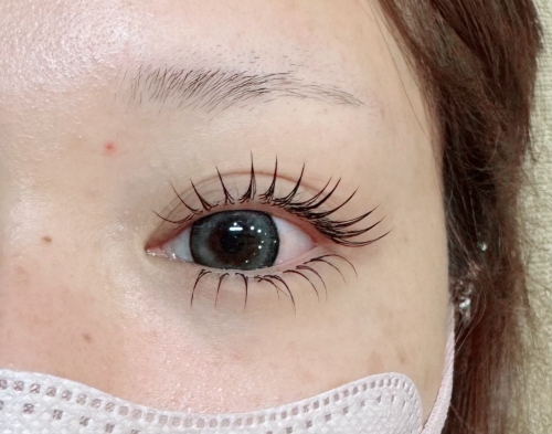 フラットラッシュ上下