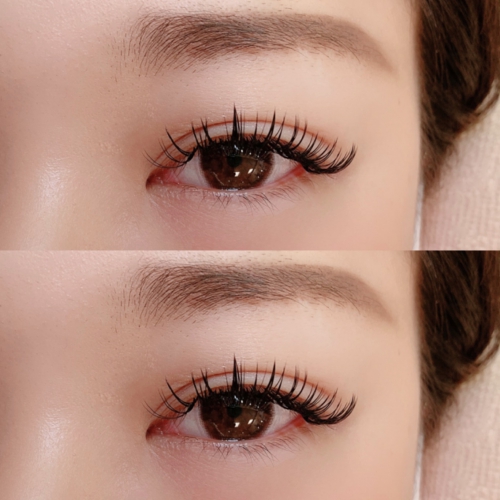 バインドロック 120束