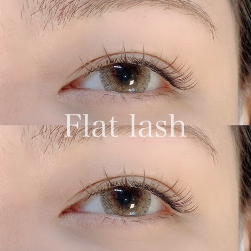 カラーフラット