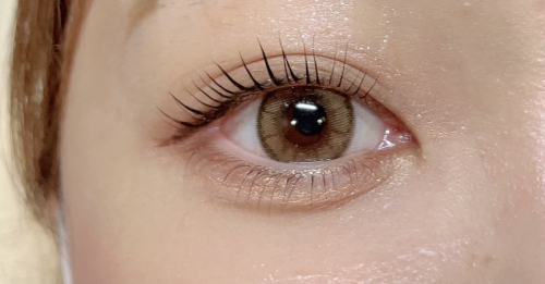 パリジェンヌ上下