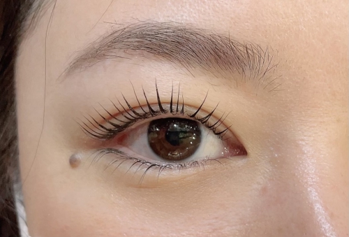 パリジェンヌ上下