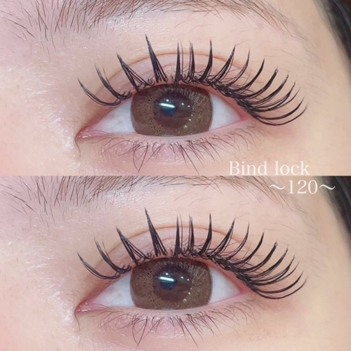 バインドロック120束