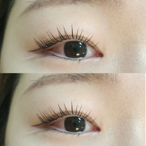 コーティング剤