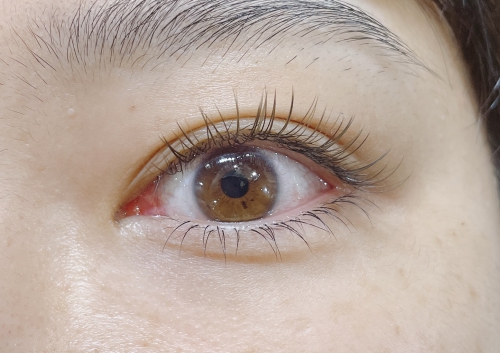 フラットラッシュ上下