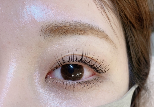 パリジェンヌラッシュリフト上下