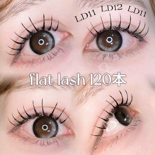フラットラッシュ LDカール120本