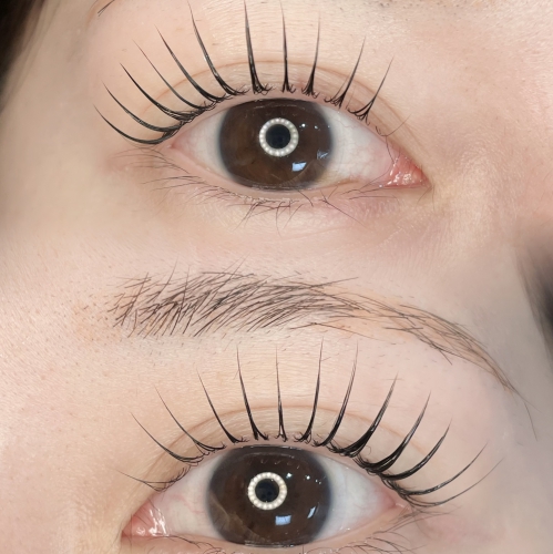 パリジェンヌラッシュリフト 