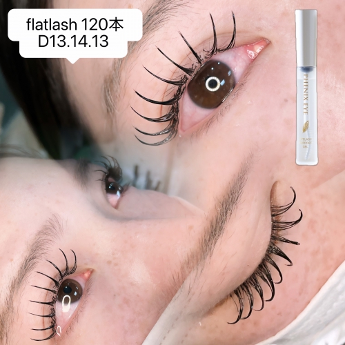 フラットラッシュ120本  D13.14.13