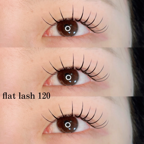 フラットラッシュ120本