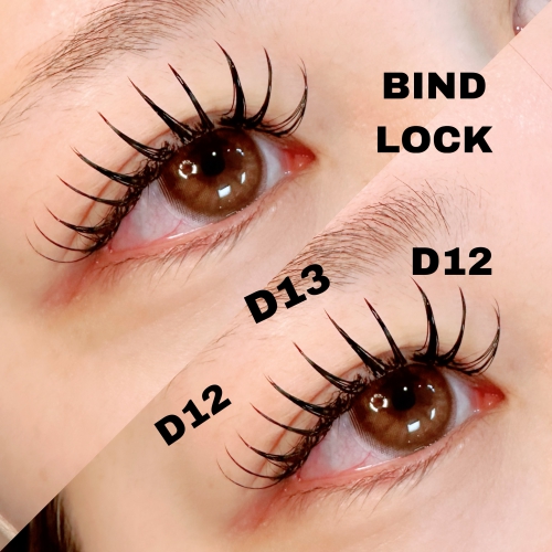 バインドロック120束