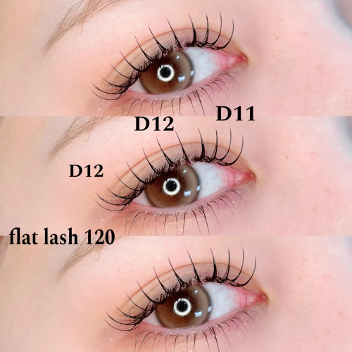 フラットラッシュ120本