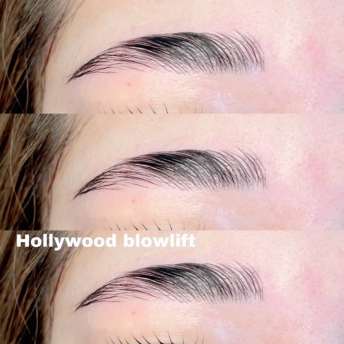 ハリウッドブロウリフト