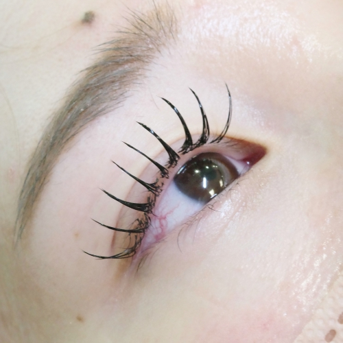 フラットラッシュ160本