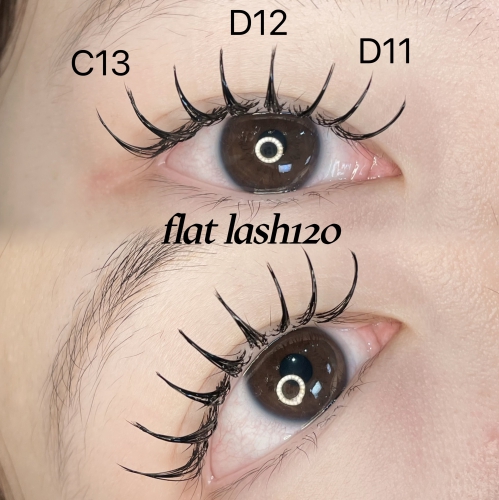 フラットラッシュ120本