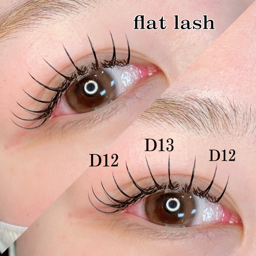 フラットラッシュ120本