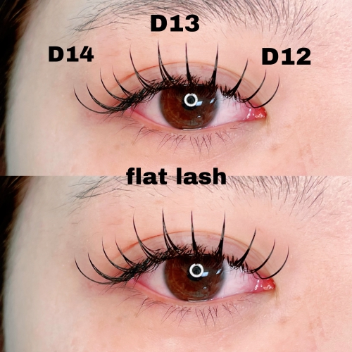 フラットラッシュ160本