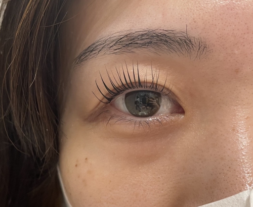 大人気♪パリジェンヌラッシュ