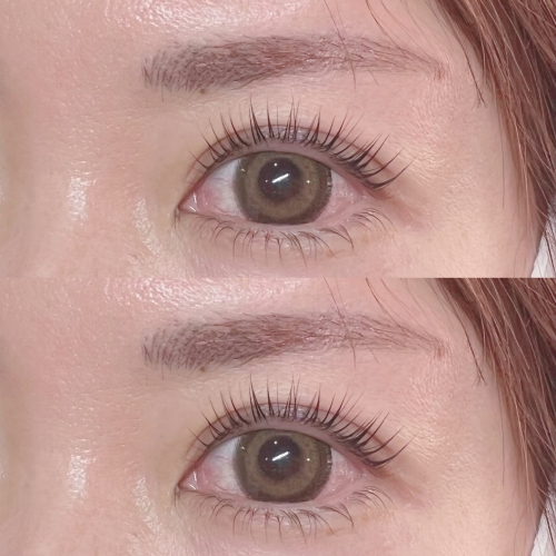 パリジェンヌラッシュリフト上下