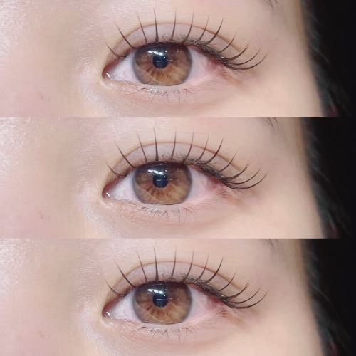 フラットラッシュ