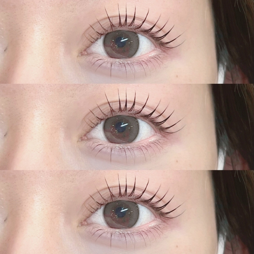 パリジェンヌラッシュリフト上下