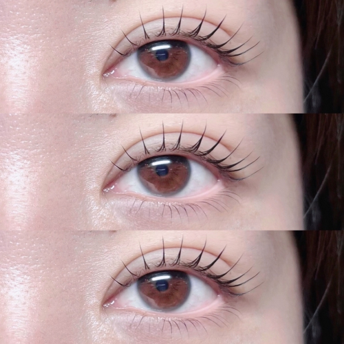 パリジェンヌラッシュリフト上下