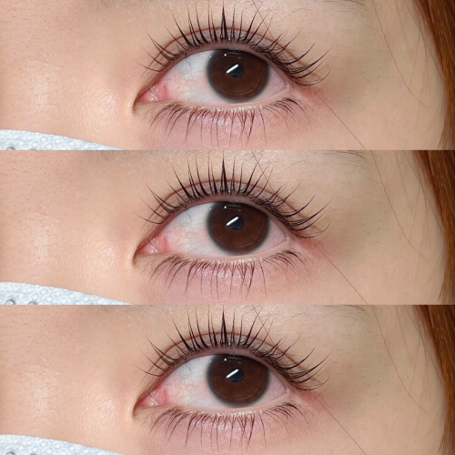 パリジェンヌラッシュリフト上下