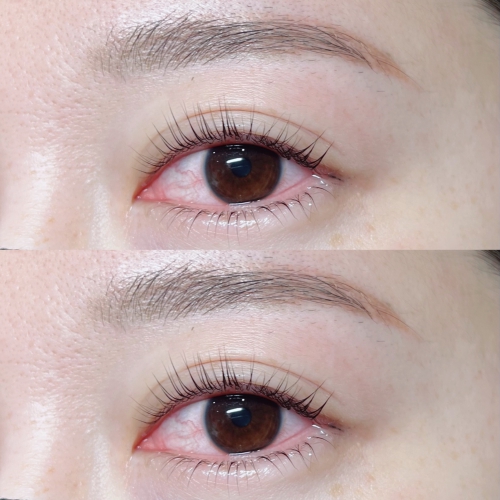 パリジェンヌラッシュリフト上下