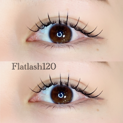 フラットラッシュ120本