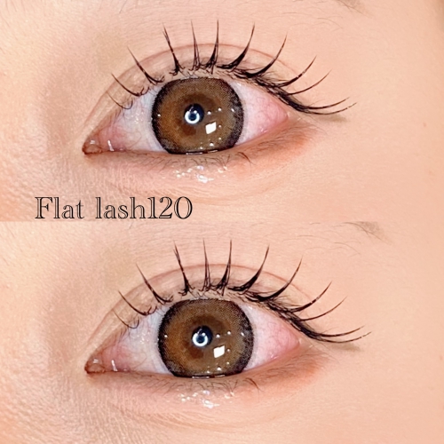 フラットラッシュ120本