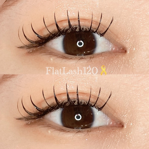 フラットラッシュ120本