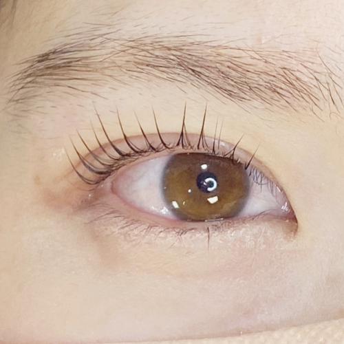 パリジェンヌラッシュリフト