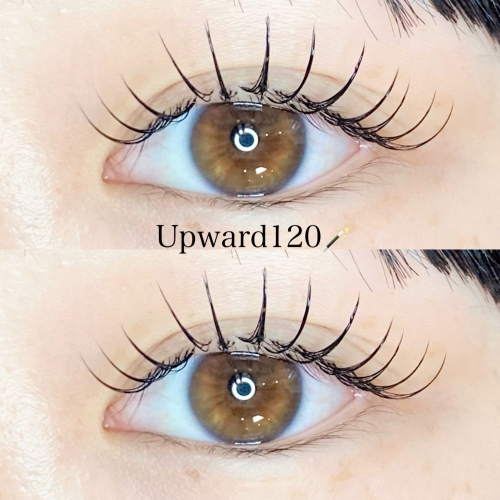 アップワードラッシュ120本