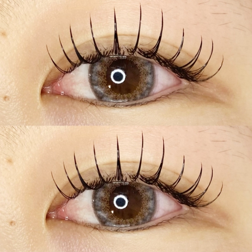 アップワード+フラットラッシュ120本